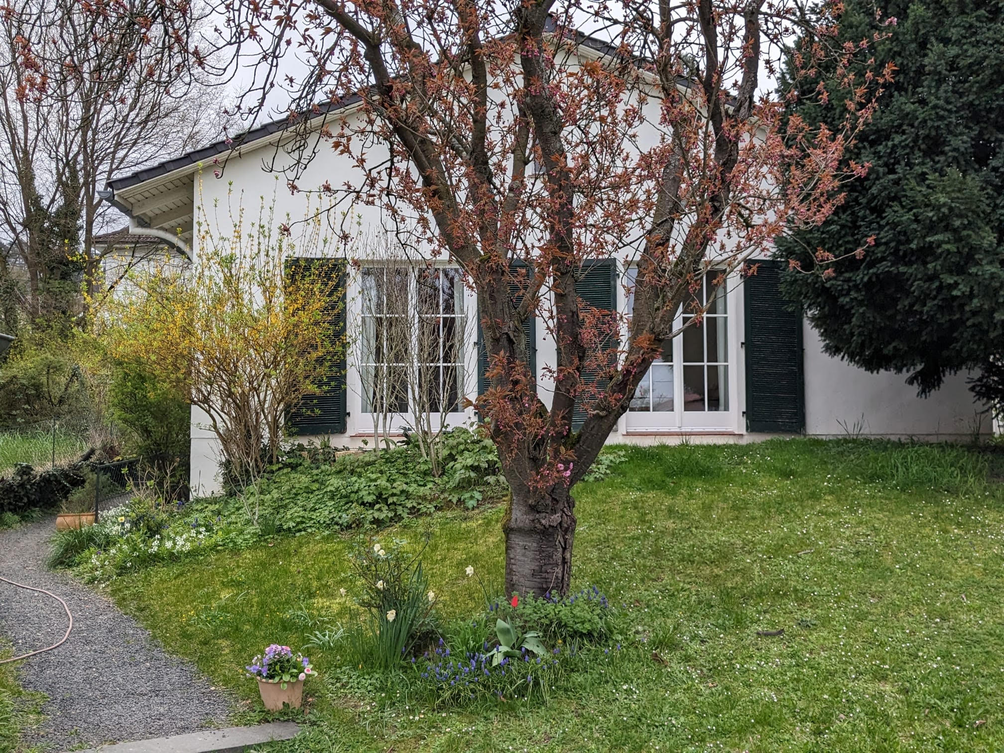 Titel Exposé Eigentumswohnung in Hembsbach. Barrierefrei und sehr ruhig gelegen